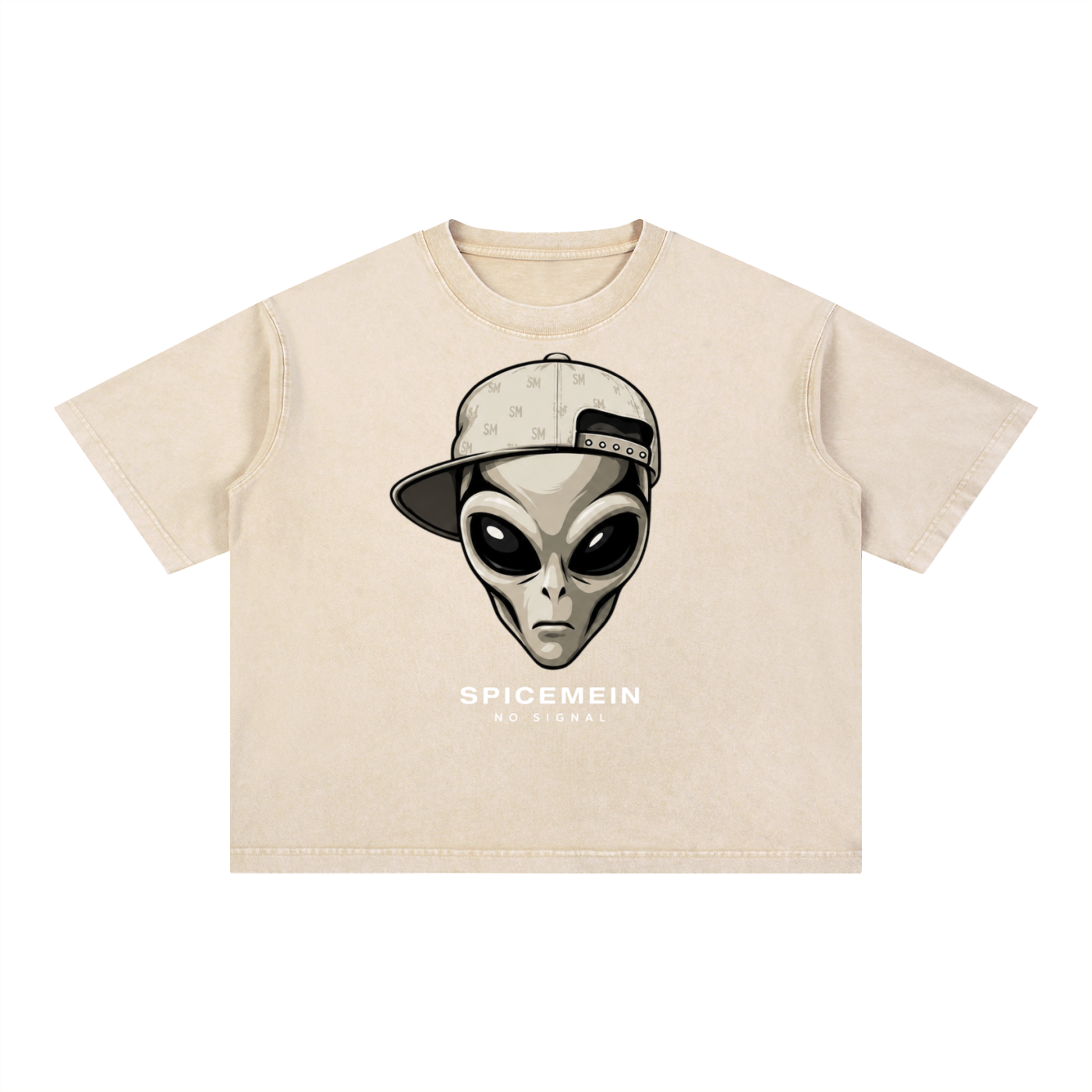 Spice Me In - Mineral Wash Boxy Cotton T-Shirt